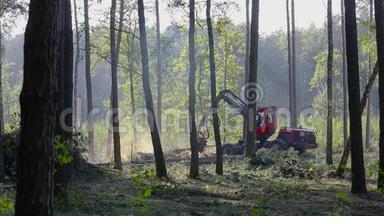 砍伐森林的现代设备，森林收割机.